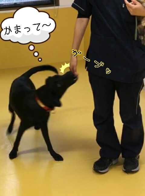 トレーニングブログ_f0357682_21444686.jpg