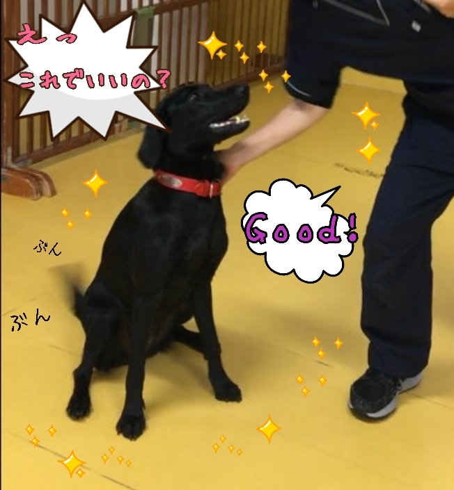 トレーニングブログ_f0357682_21541214.jpg