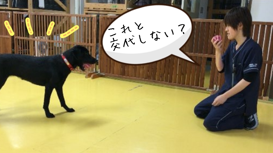 トレーニングブログ_f0357682_21595327.jpg