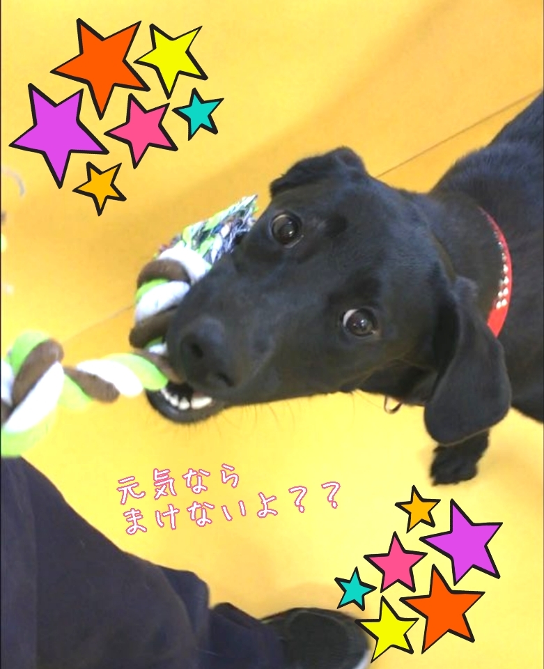 トレーニングブログ_f0357682_22292728.jpg