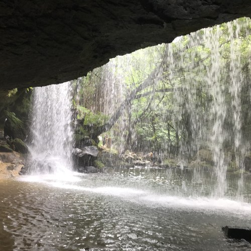 d0324385_8354272.jpg