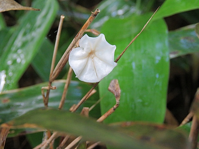f0357487_14200361.jpg