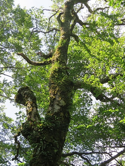f0357487_14390155.jpg