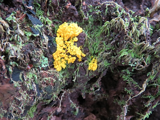 f0357487_17082225.jpg