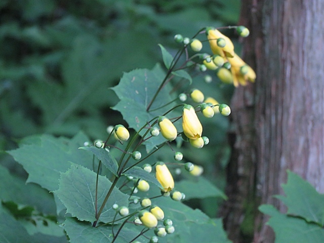 f0357487_17152975.jpg