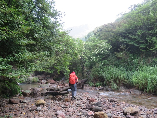 赤川から久住山～扇ヶ鼻～赤川、25日_f0357487_22110033.jpg