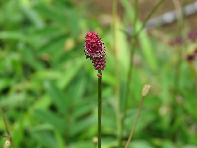 f0357487_22442593.jpg