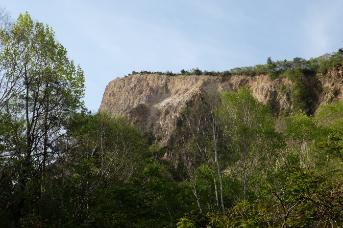 b0339488_21361902.jpg