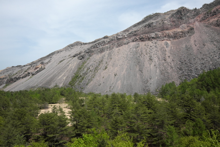 b0339488_21380960.jpg