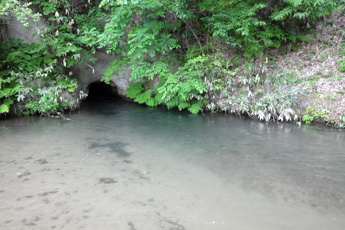 b0339488_21383059.jpg