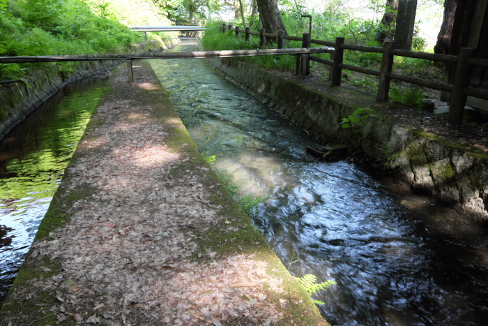 b0339488_21383153.jpg