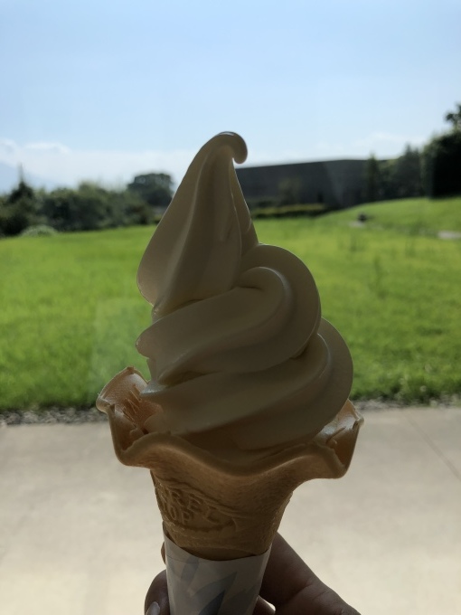 e0145589_11341705.jpeg