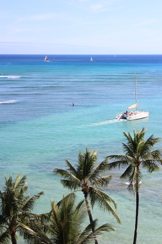 a0290690_07405275.jpg
