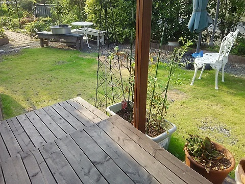 b0266191_09212724.jpg