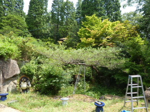 c0108198_15534211.jpg