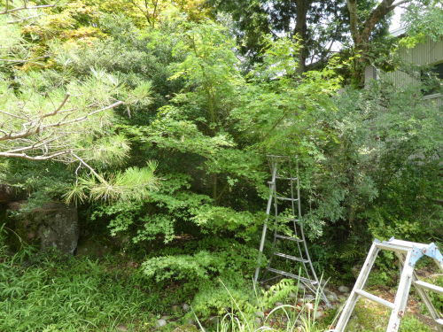 c0108198_15540301.jpg