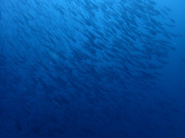 e0115199_20123112.jpg