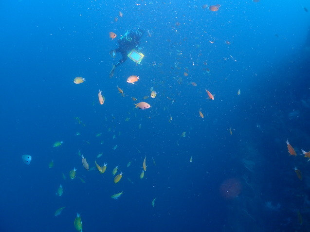e0115199_20411081.jpg