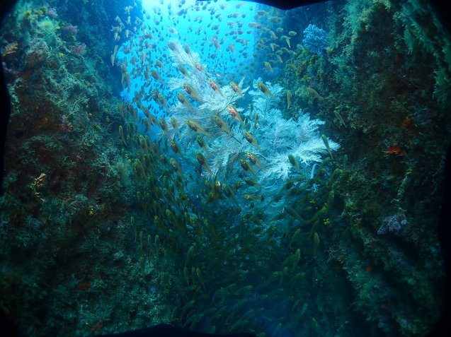 e0115199_20484564.jpg
