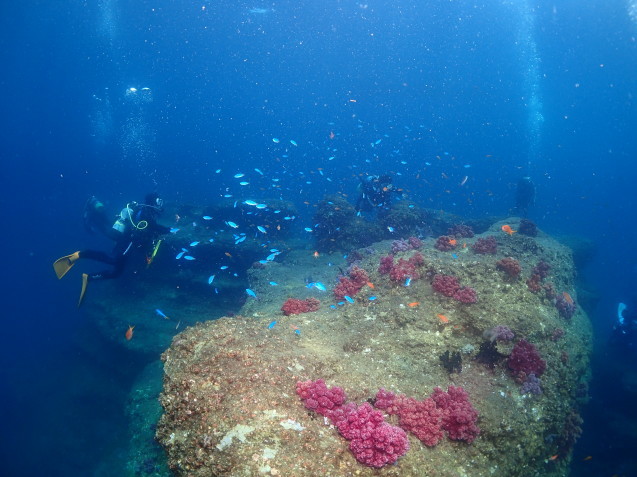 e0115199_20530046.jpg
