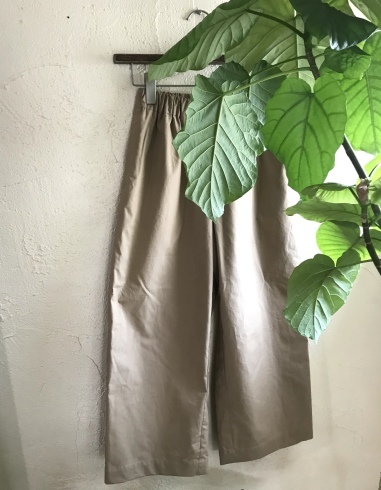 shopはじまりました。_b0018004_18063078.jpeg