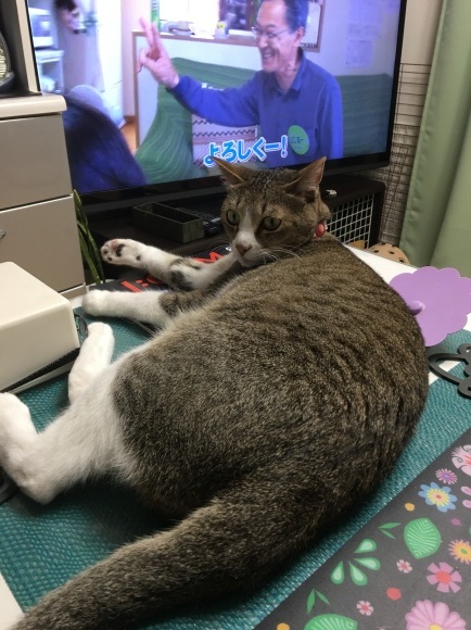 c0109109_19530810.jpeg