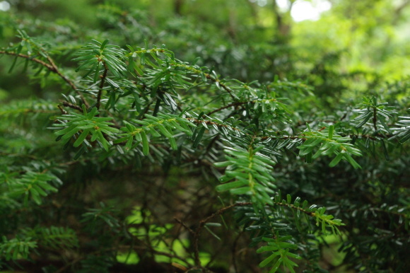 d0341514_22403669.jpg