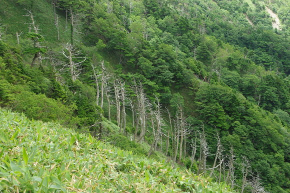 d0341514_22470110.jpg