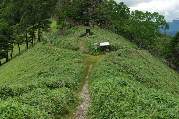 d0341514_23135027.jpg