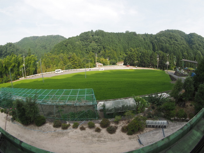 熱波の日_c0116915_00311459.jpg