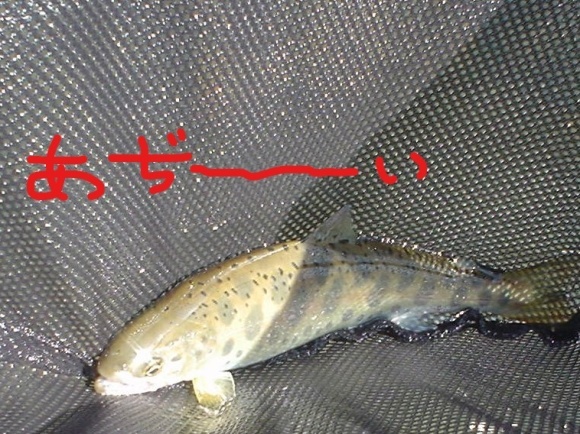 f0280717_13012892.jpg