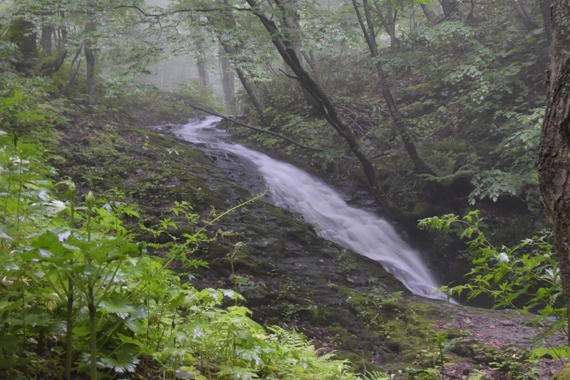 f0373120_20133310.jpg