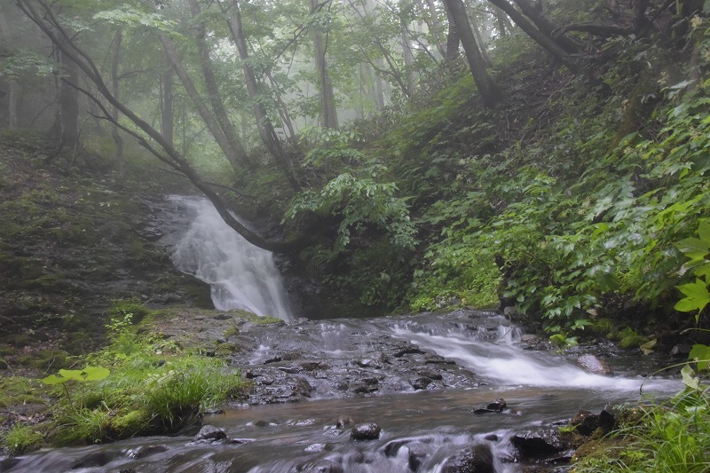 f0373120_20135714.jpg