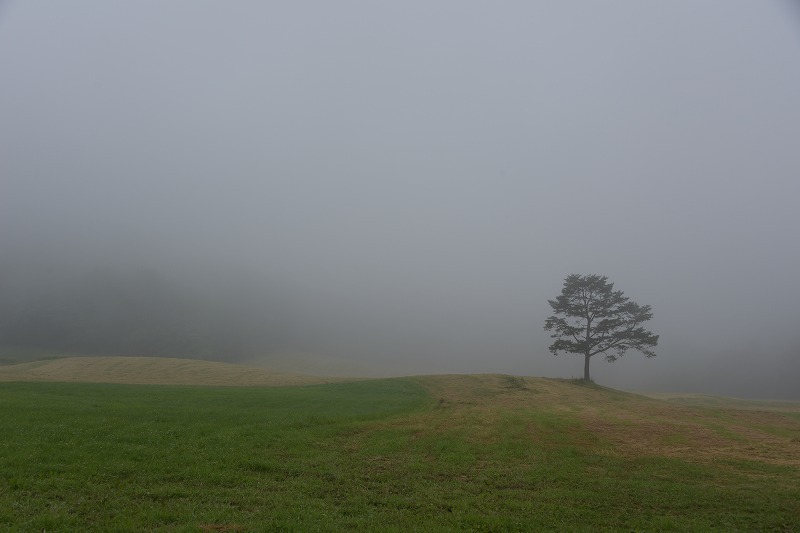 f0373120_20141004.jpg