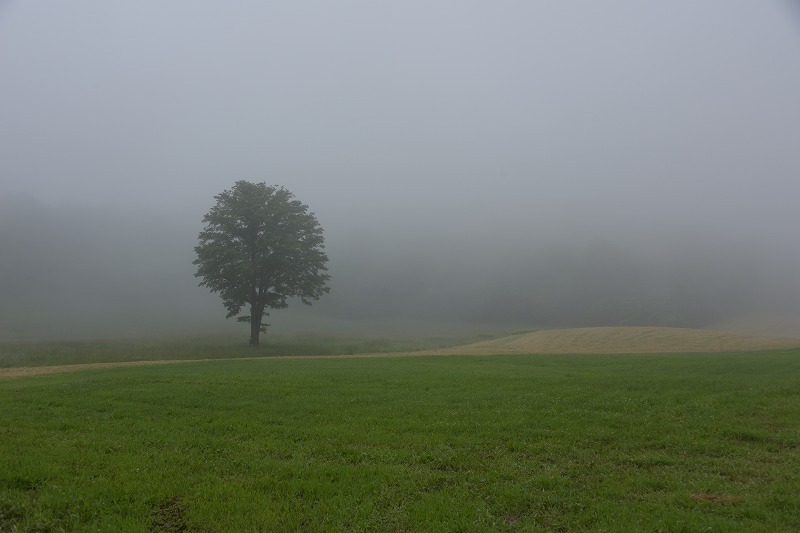 f0373120_20141815.jpg