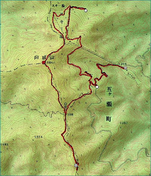 f0193521_11313437.jpg