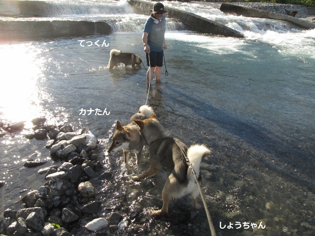 f0143123_09462334.jpg