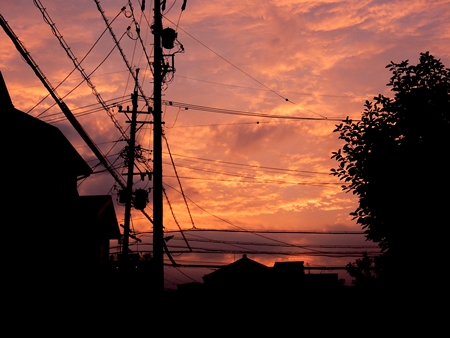e0033229_1982084.jpg