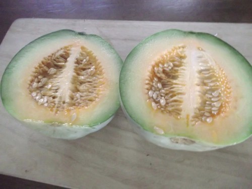 夏野菜は..次々と終了_b0137932_09264823.jpg