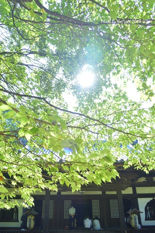 a0212036_07490713.jpg
