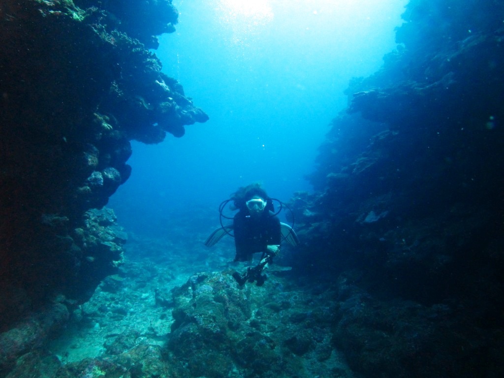 a0189838_23585184.jpg