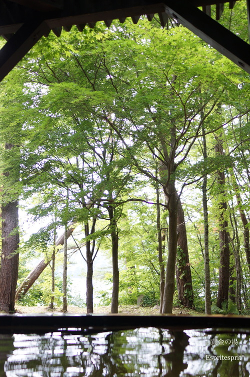 f0142141_1061753.jpg