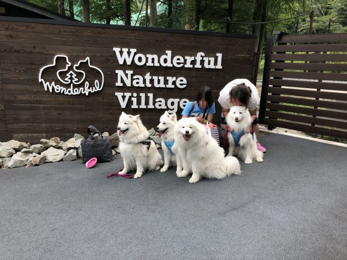 2018年 あきる野~河口湖旅行 その2_f0128542_01200487.jpg