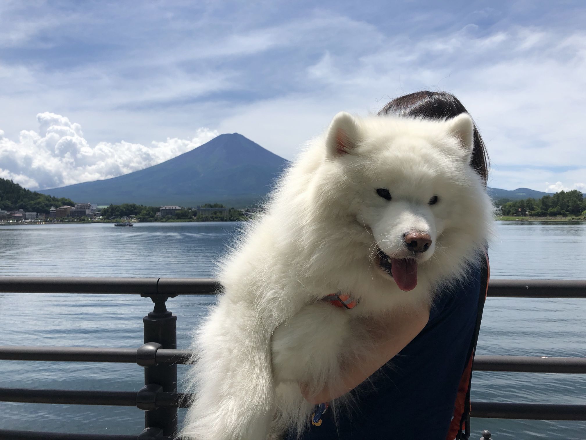 2018年 あきる野~河口湖旅行 その2_f0128542_01490281.jpg