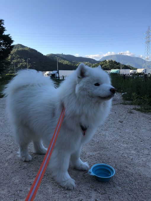 2018年 あきる野~河口湖旅行 その2_f0128542_01553334.jpg