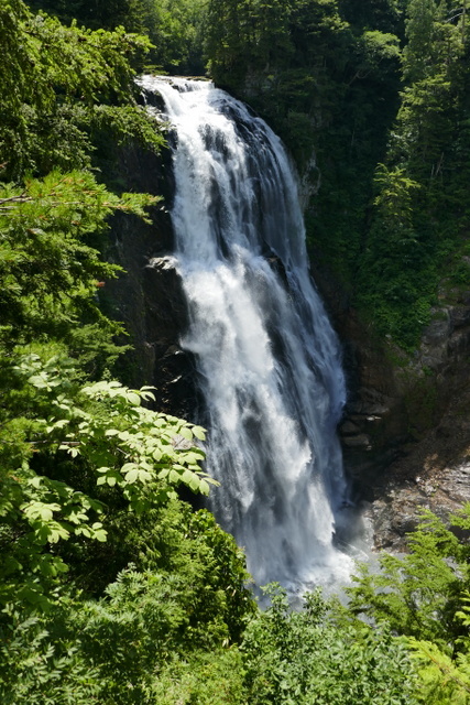 a0091843_10072118.jpg