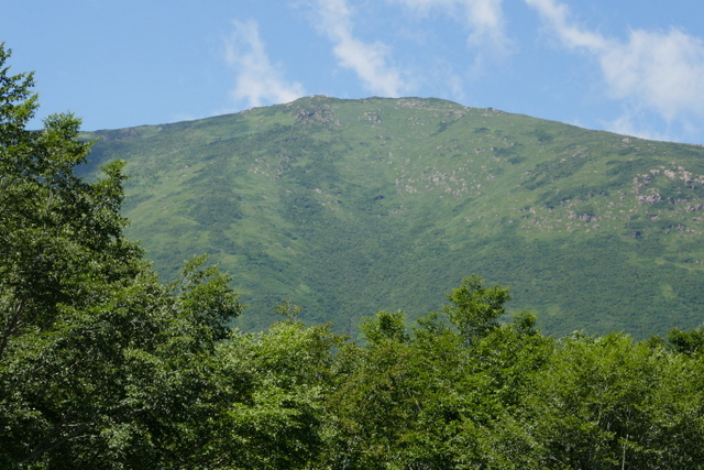 a0091843_14573398.jpg
