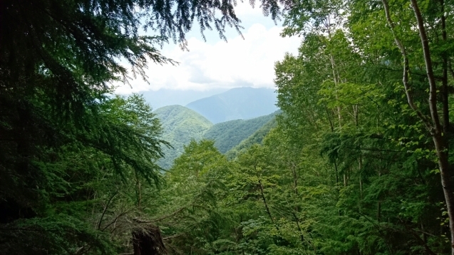 b0148050_07572292.jpg