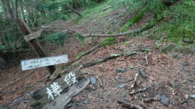 南ア：光岳　1日目（畑薙大吊橋〜茶臼小屋〜上河内岳〜茶臼小屋）_b0148050_08091277.jpg