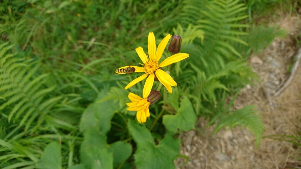 b0148050_08092217.jpg